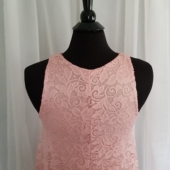NWOT Pink Lace Baby Doll Swing Dress- M- Ginger G - Picture 4 of 6